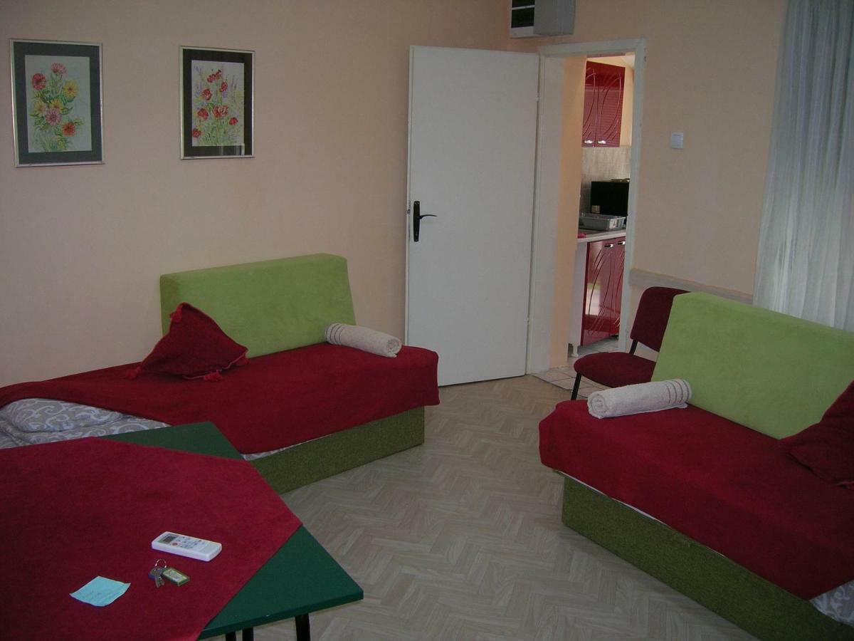 Cozy Apartment In The Center Of Novi Sad! Zewnętrze zdjęcie